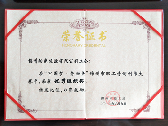 2017“中國夢.勞動(dòng)美”大會で優(yōu)秀組織賞を獲得 