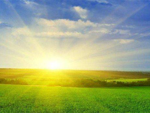 2020H1，錦州陽光戮力同心、運營達滿產(chǎn)